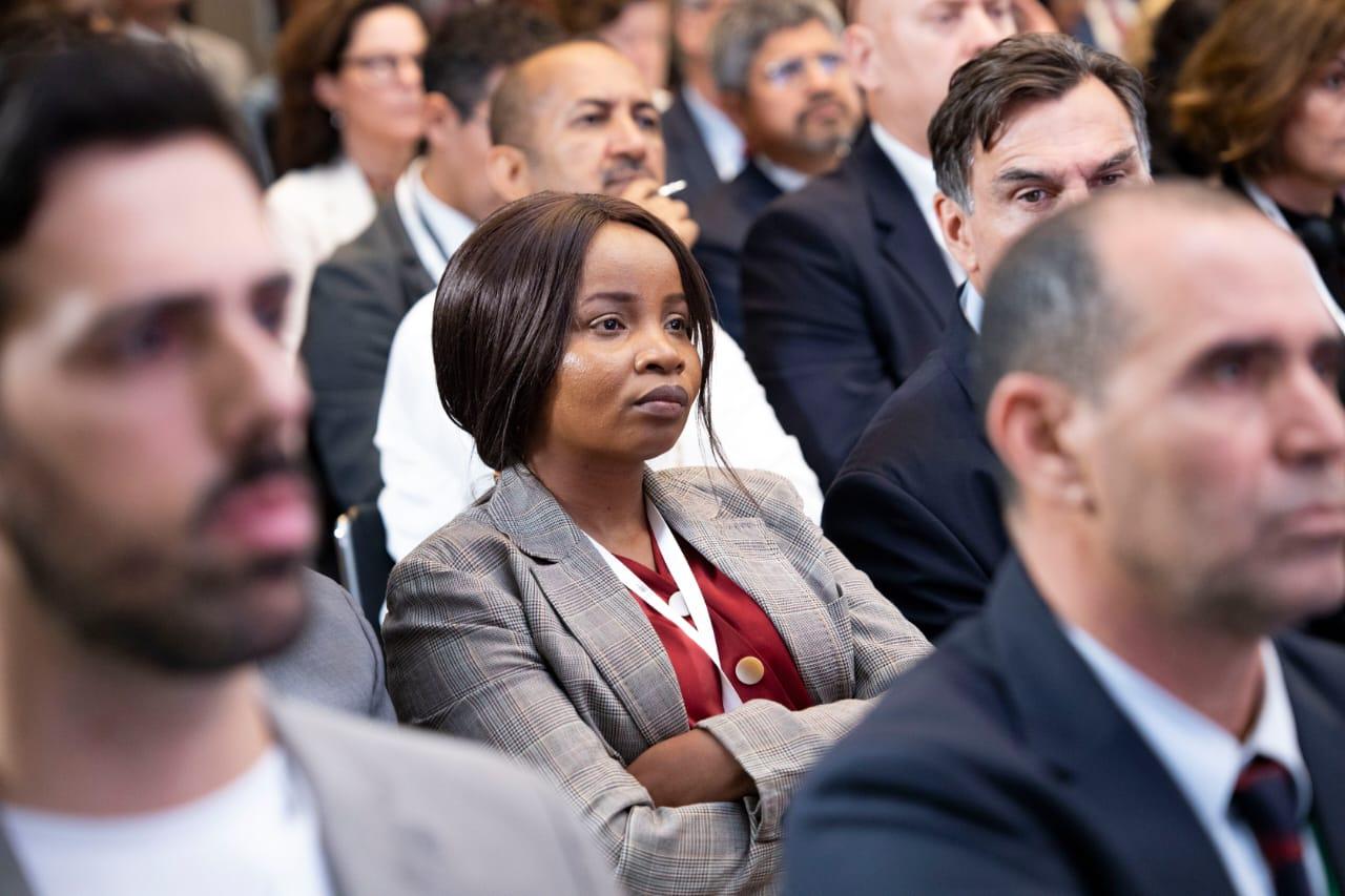 Curriculum & Capacity Building - Visual representation of working with higher education institutions and government academies to embed ai and peace studies into african learning ecosystems.